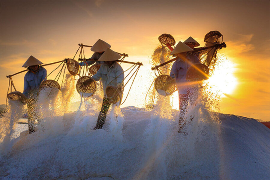 Tour Dã Ngoại Sa Huỳnh Trong Ngày - Ảnh 2