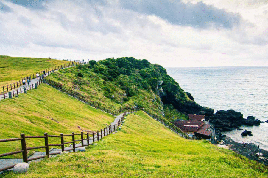 Tour Happy Jeju 4N3Đ - Hòn đảo 3 không - Ảnh 6