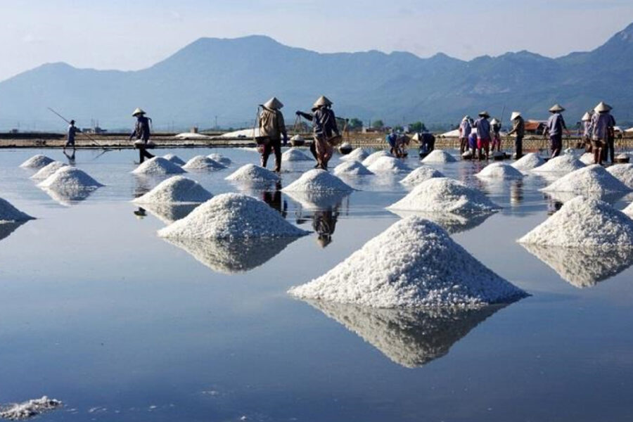 Tour Lý Sơn - Sa Huỳnh 3 ngày 2 đêm - Ảnh 5