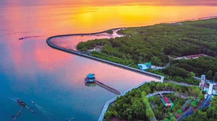 Tour Khám Phá Đồng Bằng Sông Cửu Long 4 ngày 3 đêm - Ảnh 2