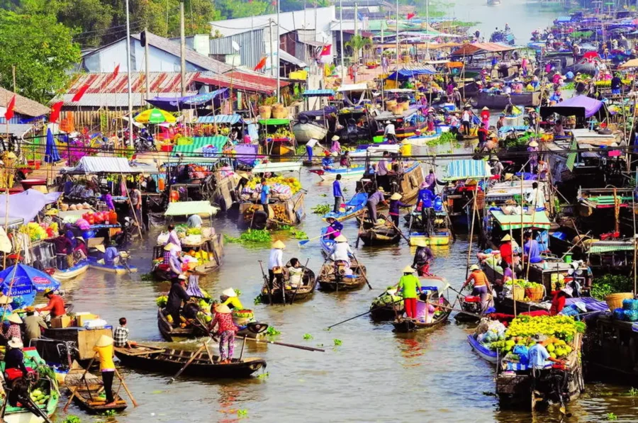 Tour Khám Phá Đồng Bằng Sông Cửu Long 4 ngày 3 đêm - Ảnh 6