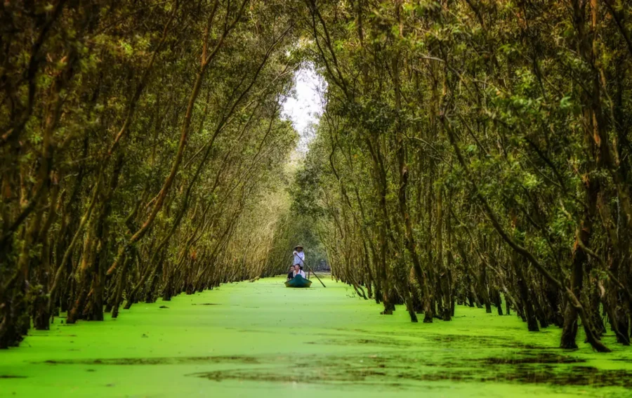 Tour Quảng Ngãi - Đà Nẵng - Cần Thơ - Châu Đốc 4 ngày 3 đêm. - Ảnh 6