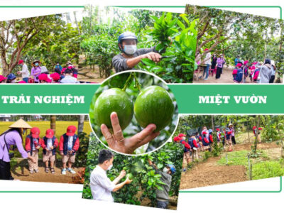 Tour Khám Phá Văn Hoá Cộng Đồng Quảng Ngãi 1 ngày
