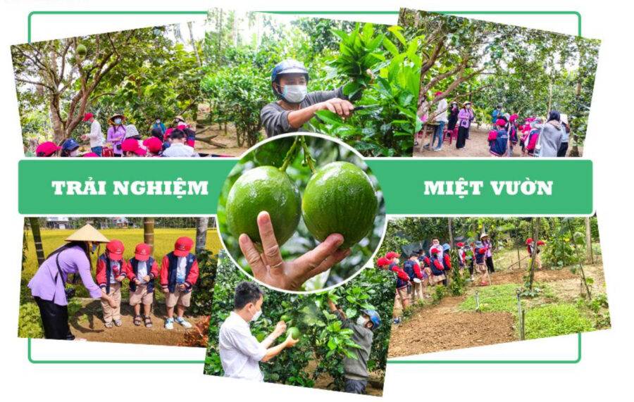 Tour Khám Phá Văn Hoá Cộng Đồng Quảng Ngãi 1 ngày