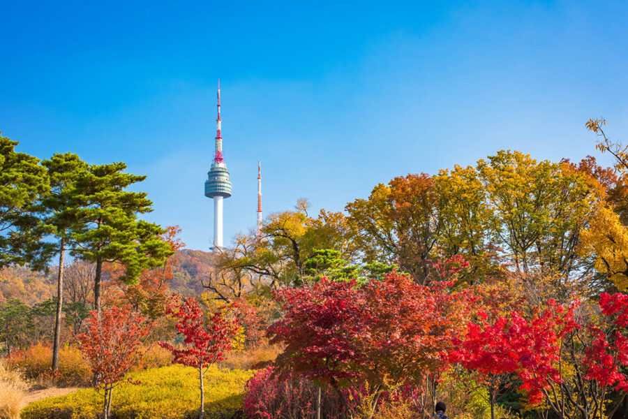 Tour Quảng Ngãi - Seoul - Nami - Everland - Hàn Quốc 5N4Đ - Ảnh 10