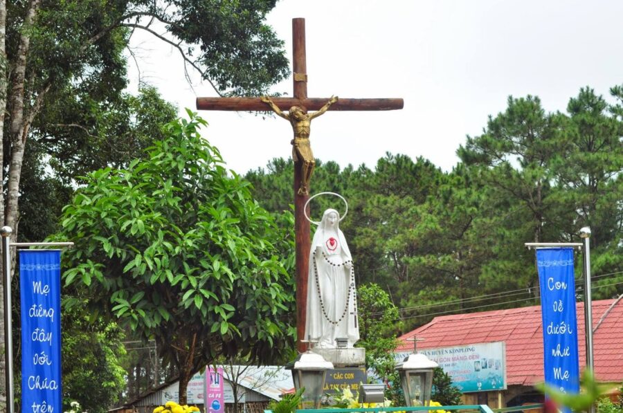 Tour Quảng Ngãi - Măng Đen Lễ Valentine. - Ảnh 2