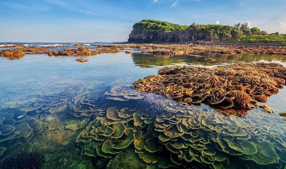 Khám phá thiên nhiên Quảng Ngãi
