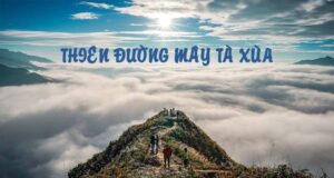 Tour Mùa Xuân Tà Xùa – Cảnh đẹp hùng vĩ giữa đại ngàn 2025!