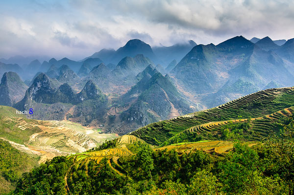 Điểm đến Hà Giang mùa xuân Khởi hành từ Quảng Ngãi