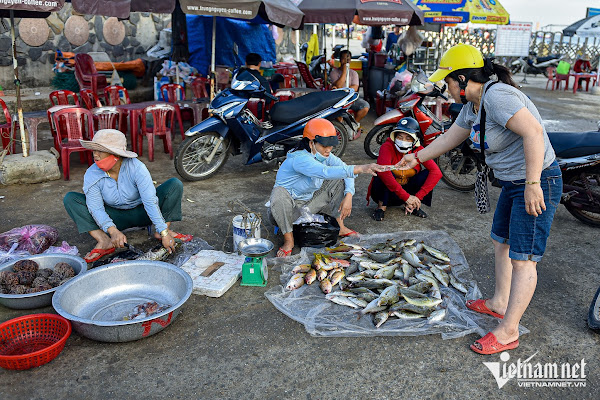 Khám phá vẻ đẹp làng du lịch Lý Sơn cổ kính ở Quảng Ngãi