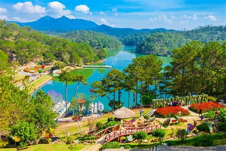 Tour mùa đông đến Đà Lạt khởi hành từ Quảng Ngãi 2024