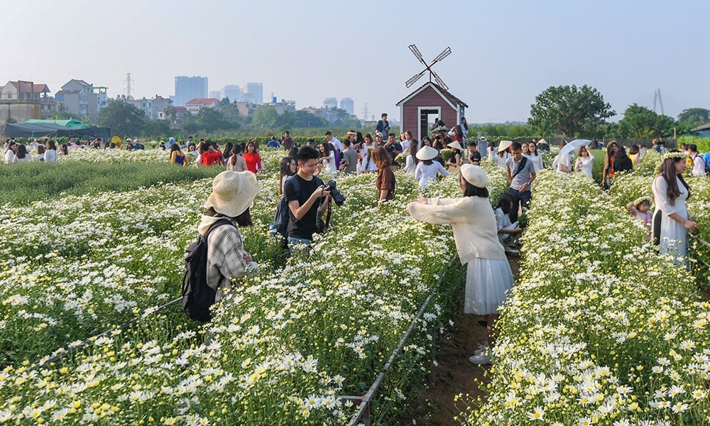 Tour du lịch làng hoa miền Bắc mùa xuân – Sắc màu rực rỡ 2025