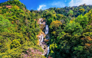 ‘Nàng công chúa ngủ quên’ giữa rừng nguyên sinh Kon Tum