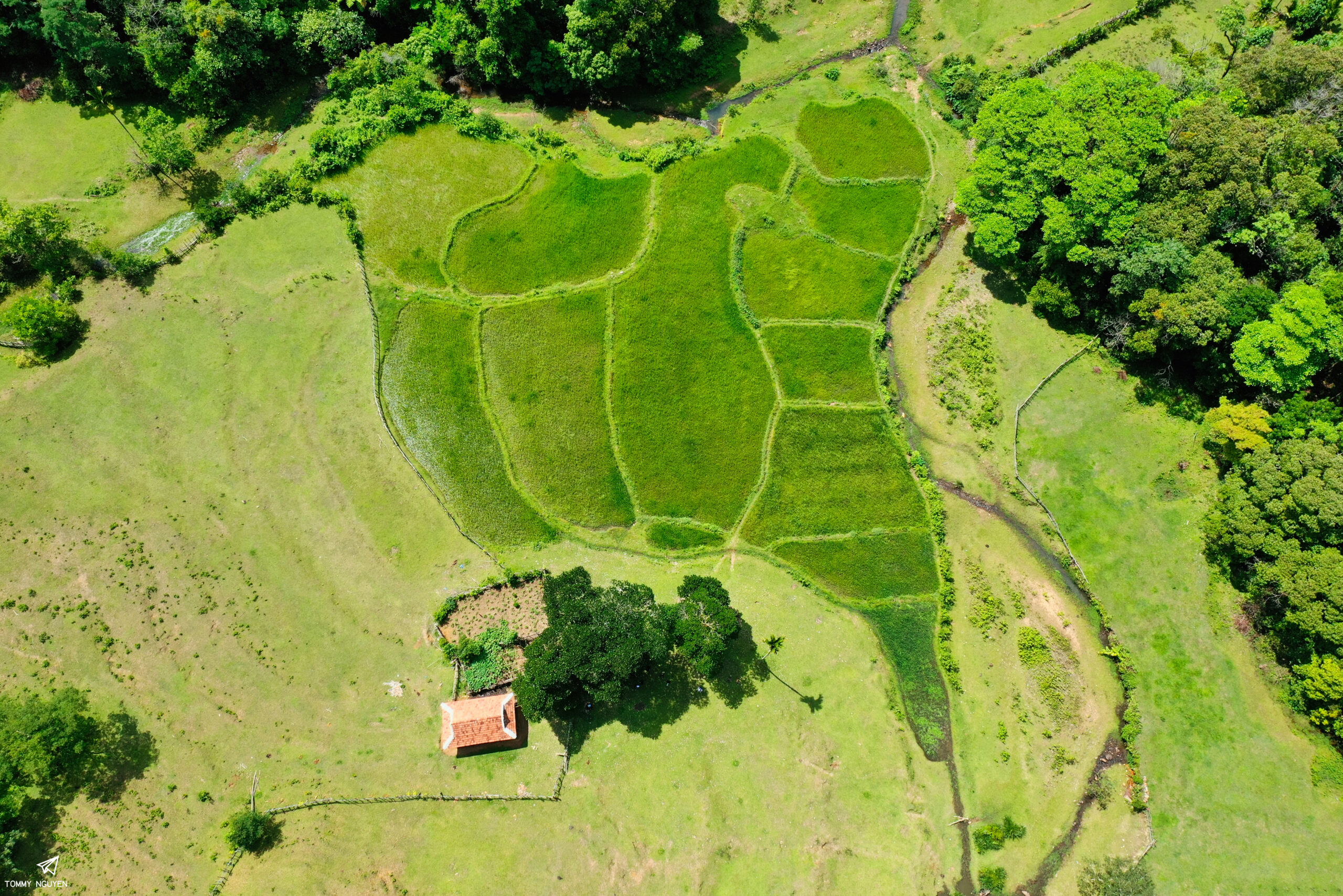 Tour trekking chinh phục thác Mờ Nanh đầu tiên ở Quảng Ngãi