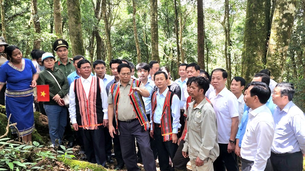 Du lịch Quảng Ngãi sau sáp nhập