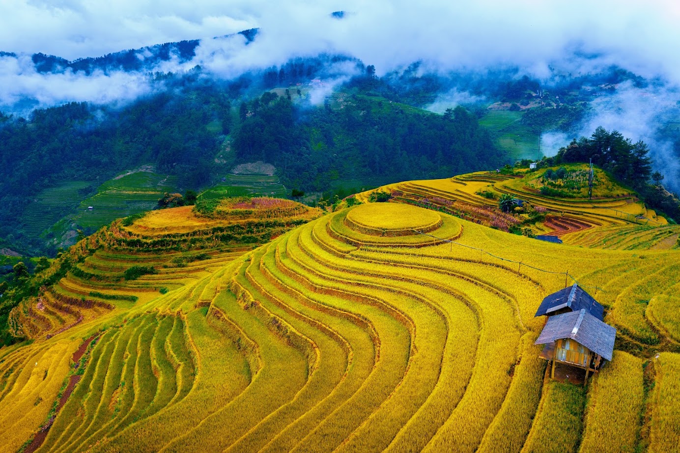 mù cang chải , du lịch mù cang chải, mùa chúa chín mù cang chải