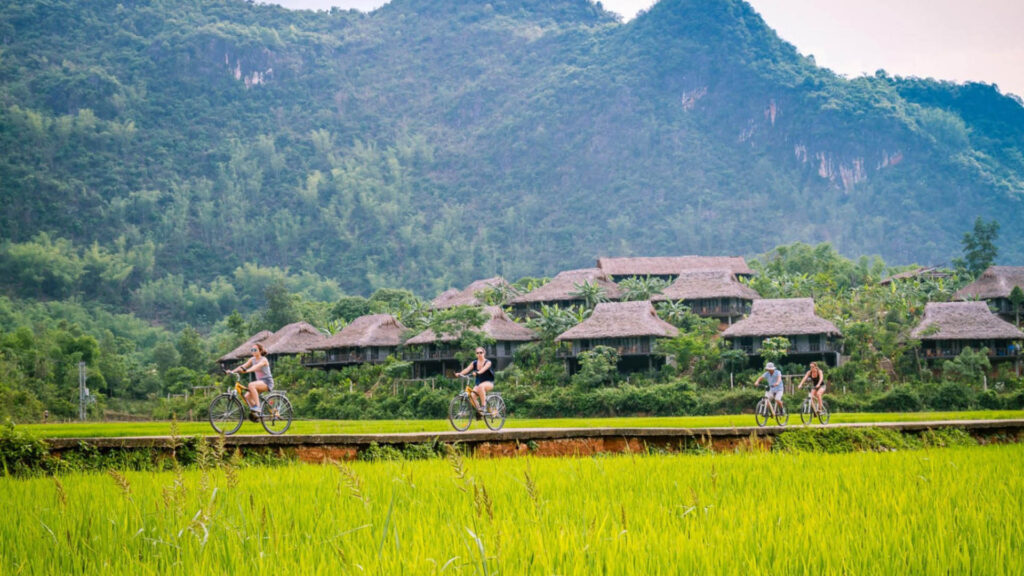 Tháng 9, cao điểm săn mùa lúa chín phía Bắc