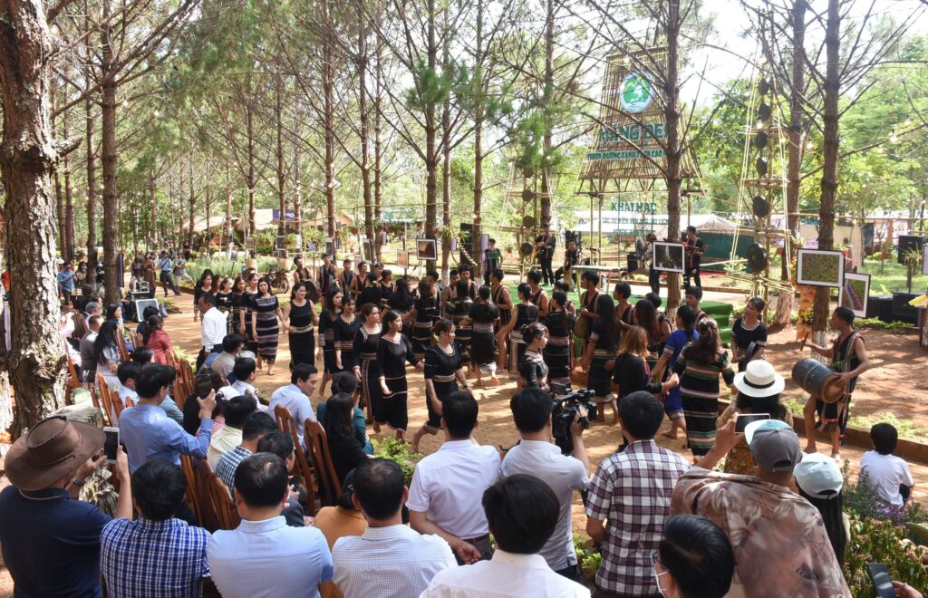 Du lịch Măng Đen Quảng Ngãi
