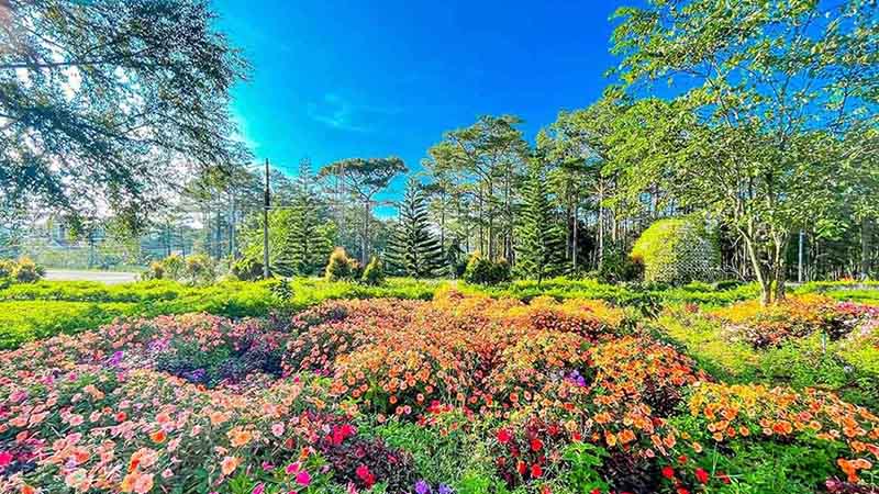 Những địa điểm du lịch Măng Đen bạn không nên bỏ lỡ