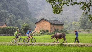 hồi sinh nông thôn Trung Quốc 2027,an ninh lương thực Trung Quốc,phát triển hạ tầng nông thôn Trung Quốc,nông nghiệp bền vững Trung Quốc