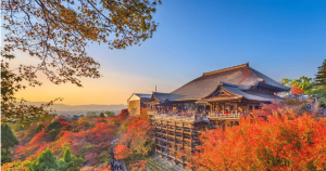 Lịch lá đỏ Nhật Bản,lịch lá đỏ Nhật Bản 2025 theo vùng,mùa lá vàng lá đỏ Nhật Bản,mùa lá đỏ, lá vàng Nhật Bản bắt đầu từ tháng mấy