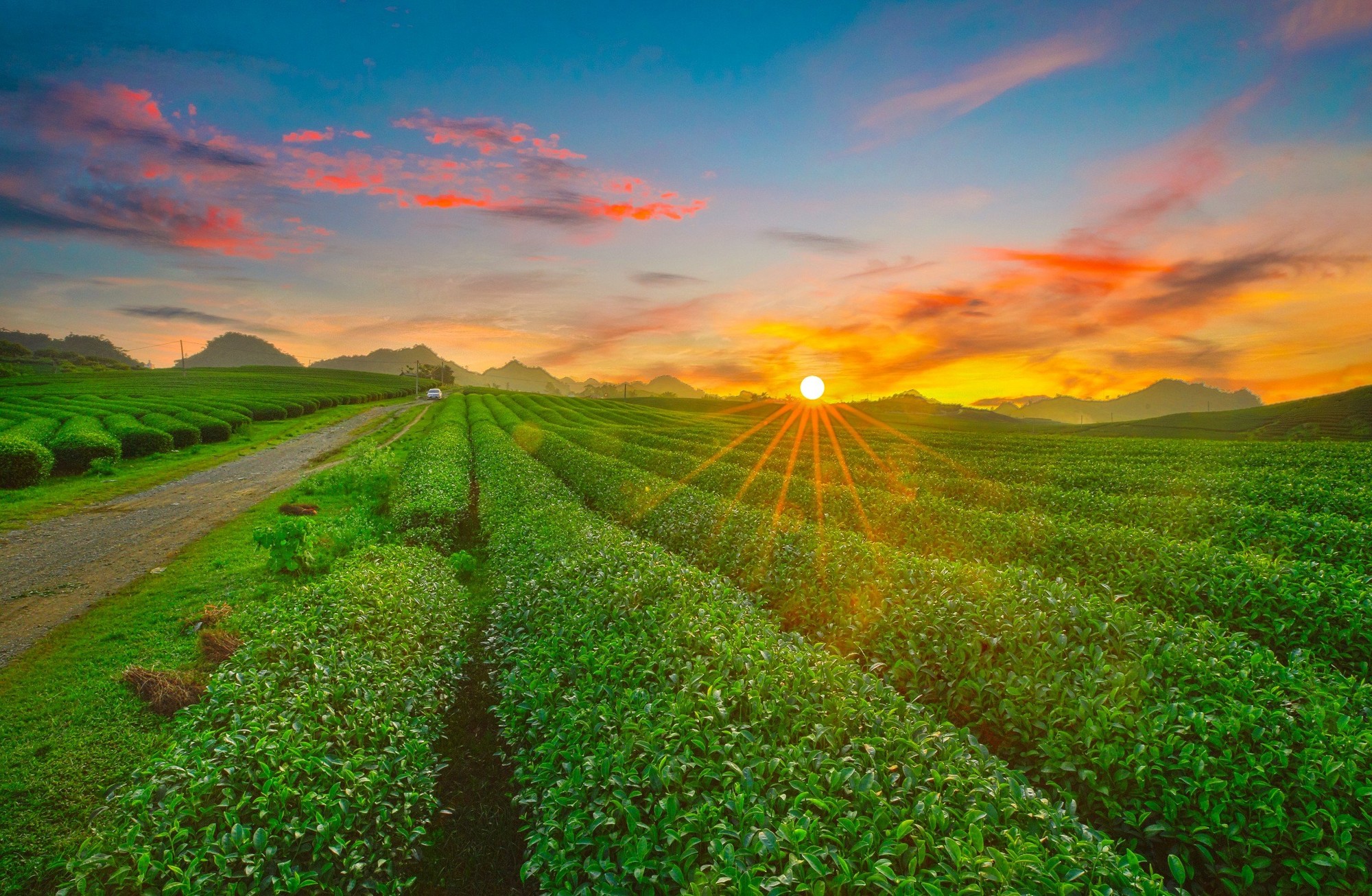 Du lịch Mộc Châu - Sơn La