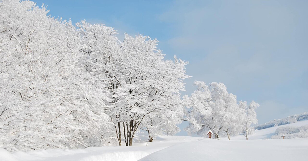 Hàn Quốc tháng mấy có tuyết rơi,Hàn Quốc mùa đông đi tháng nào đẹp, du lịch Hàn Quốc mùa đông,du lịch Hàn Quốc mùa tuyết