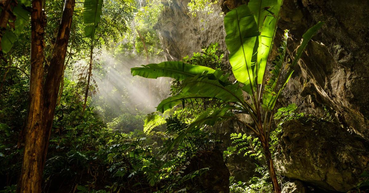 Tour khám phá du lịch mạo hiểm hang Sơn Đoòng