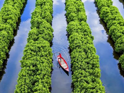 QUẢNG NGÃI - RỪNG VÀNG, BIỂN BẠC