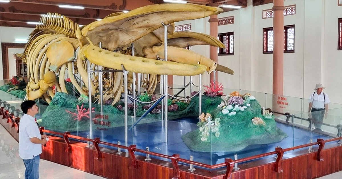 LÝ SƠN - HƠI THỞ CỦA ĐẠI DƯƠNG - Ảnh 3