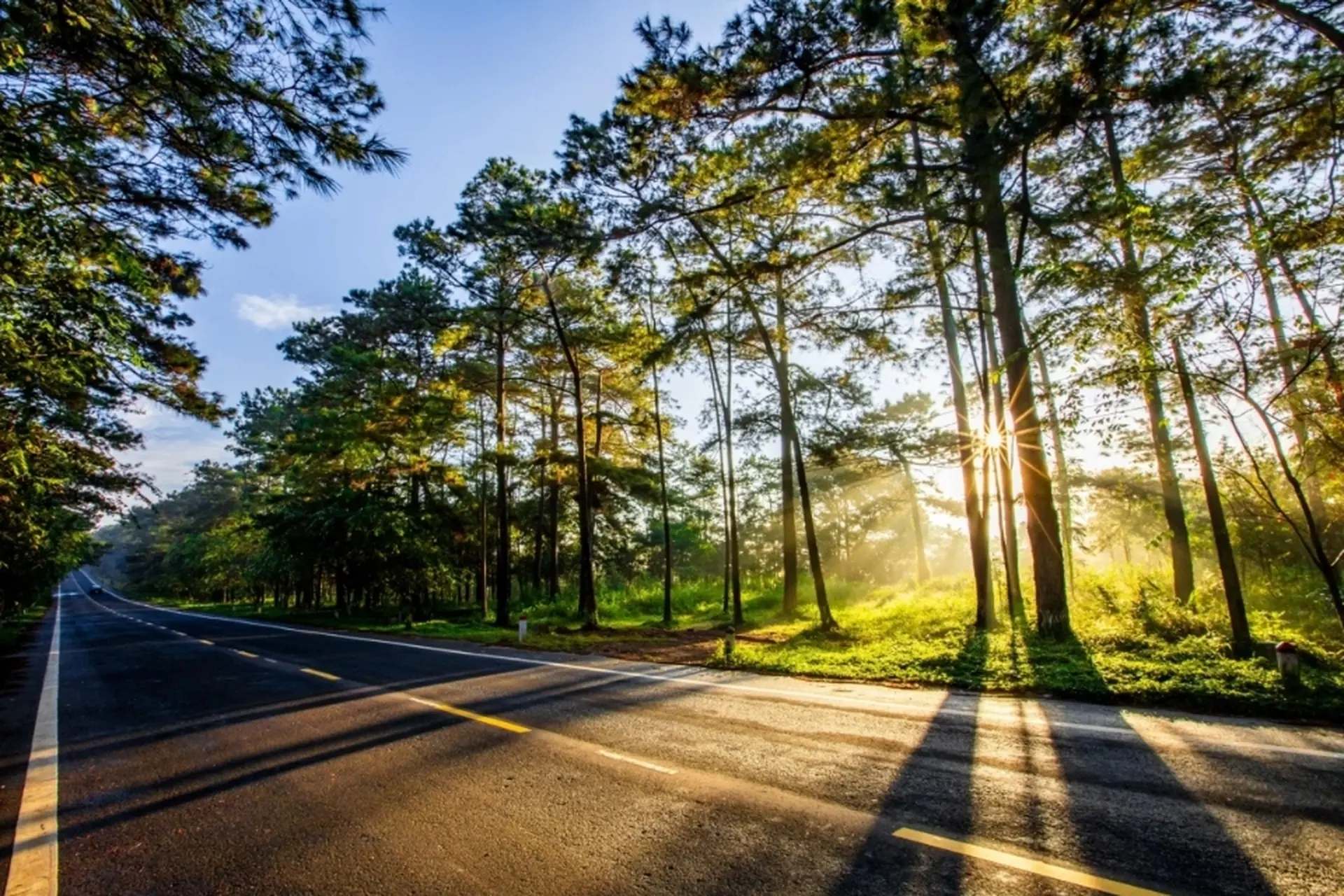 Măng Đen đại ngàn 