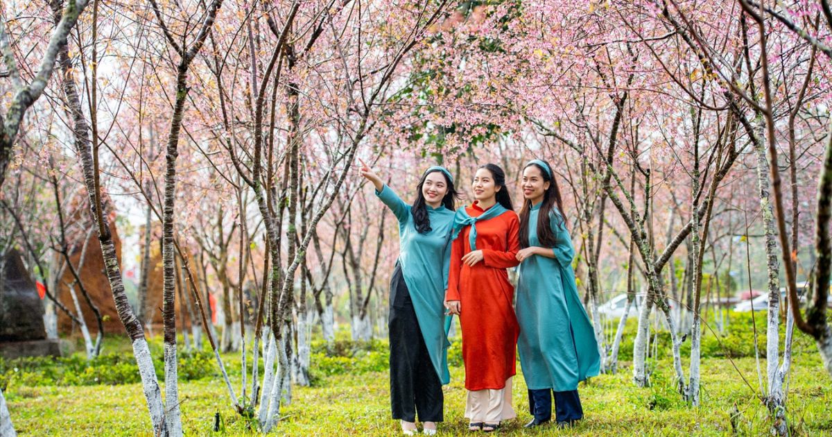 Du khách checkin chụp ảnh cùng hoa anh đào 