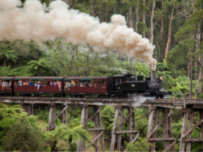 TÀU HƠI NƯỚC PUFFING BILLY