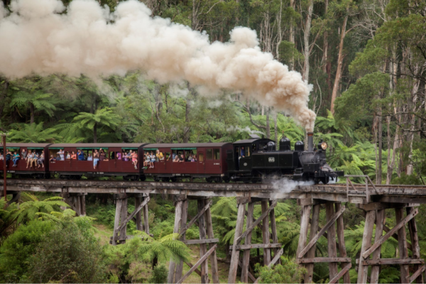 TÀU HƠI NƯỚC PUFFING BILLY